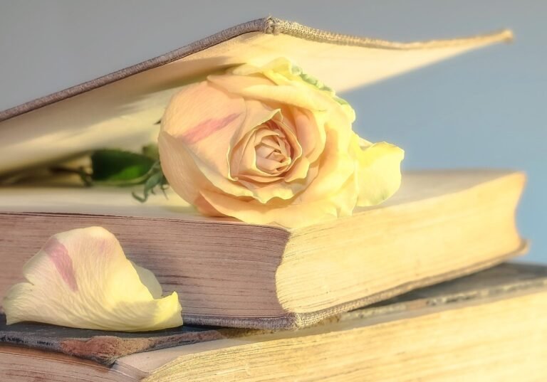 Curso Registros Akáshicos Nivel 3